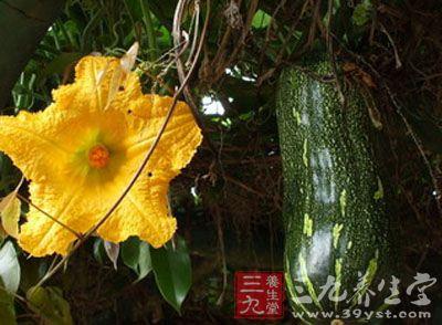 吃方瓜对人体有什么好处,方瓜养生益处：营养丰富的健康之选