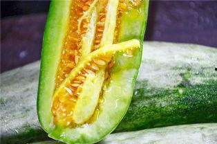 吃瓜的萝卜,揭秘瓜农的甜蜜生活